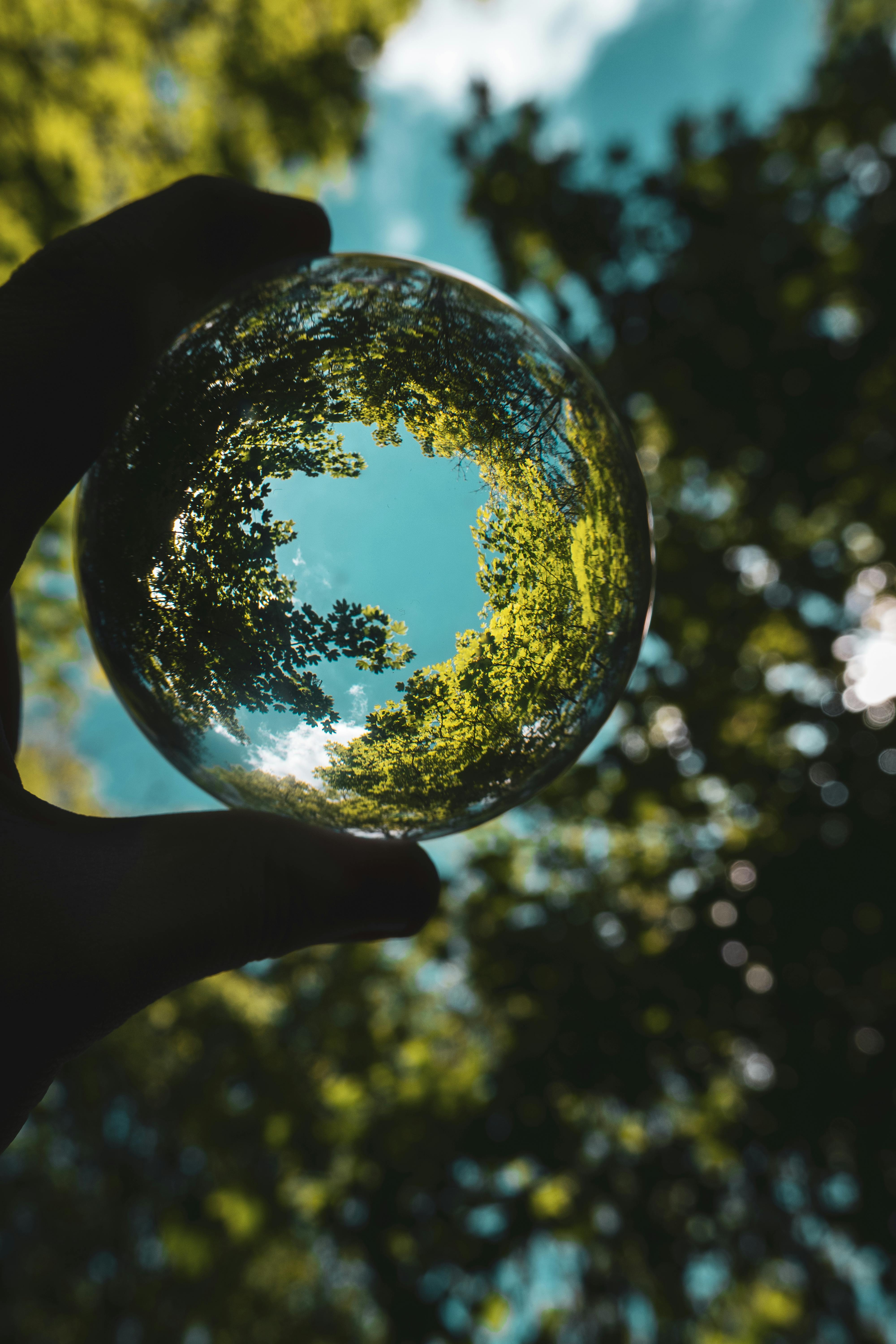 Main tenant une sphère transparente devant des arbres et un ciel bleu